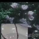 호야서점