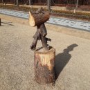 작은동물원 이미지