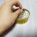 안참치 이미지