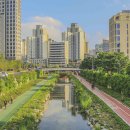 내가만든케익&쿠키이야기 이미지