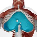 센스짐 24 인계점 이미지