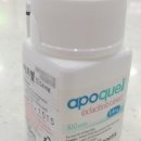 성동동물약국 이미지