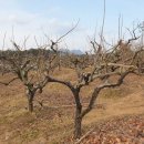 진원농장 이미지