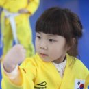 국가대표 한빛태권도 교육관 이미지