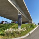 한들소머리국밥 이미지