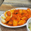 성남역 | 수진분식 성남 수진역 떡볶이 맛집 내돈내산 후기