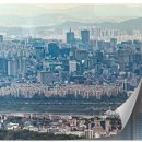강남1번지
