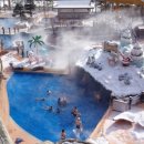 써니존 사우나 이미지