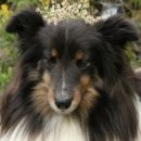 마치집인냥 이미지