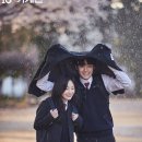 첫사랑 OSEN