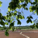 호근목장 이미지