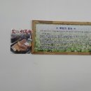 원주옹심이메밀칼국수 이미지