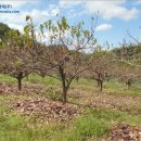 신안리경로당 이미지