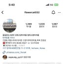 꽃길 걷는 고양이 이미지