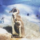 에노스호텔 이미지