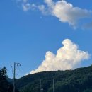 어수정국수집본점 | 50년 전통 비빔국수집! [망향 비빔국수 본점 맛집 후기]