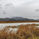 송산2교 이미지