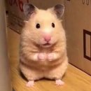 스마일 | 직장인 스마일라식 후기 (누가 라식은 안 아프다고 했어)