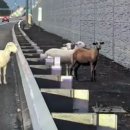 다소농장 이미지