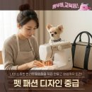 [북부] 의류제작 중급 | 펫 패션 디자인 중급 강좌 (B13)