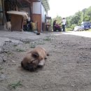 나경농장 이미지