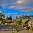 월정 산도롱펜션 | 제주 일주일살기 숙소 추천 5