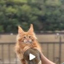 BEBECOON 네이버블로그