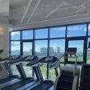 드라코짐 이미지