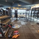 간석역 뉴스타빌딩 | 인천 간석역 여성 pt 전문 헬스장🍀 휘트니스88