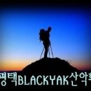 등대의집