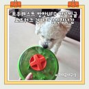 (유)대성종합개발 | 포우퀘스트 방탄UFO 빙글빙글 노즈워크 강아지간식장난감 역대급 내구성 솔직후기