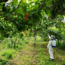 전남대학교 식물방역대학원 이미지