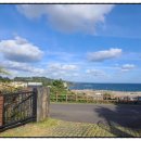 도우펜션 이미지