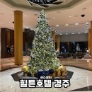 힐튼 경주 | 연말 분위기 제대로였던 경주힐튼 숙박 라운지 이용 후기