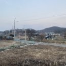 영희네민박 | [포천 촌캉스 민박] 영희네집ㅣ독채2 내돈내산 후기ㅣ경기도 서울 근교 촌캉스ㅣ시골감성 할머니네집...