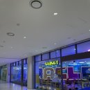 백석어린이집 | 키즈카페] 레이싱카&amp;튜브 슬라이드 탈 수 있는 키카, 와글아이 내돈내산 후기!(백석 아이와 가볼만한 곳)