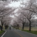홍어 박사네 Daum카페
