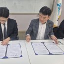법무법인시냇가에심은나무