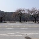 가연식품 - 금산군 | 충북 단양, 가족과 함께한 단양여행 떡갈비 맛집 가연