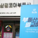 파란공인중개사사무소 이미지