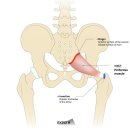 CM Fitness 이미지