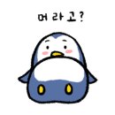 샾카페