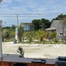 버거트럭 이미지