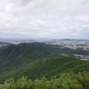 계림꽃농원 | [독서후기 | 인.사.철 | 숲 이야기] “숲과 상상력”을 읽고