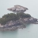 신여사