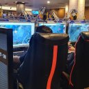 바이러스 PC방 이미지