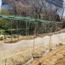 지푸라기농장 이미지