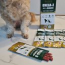 아이엔지 소프트 이미지