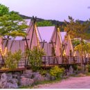 치유의 숲 야영장 이미지