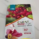 카니코리아 이미지